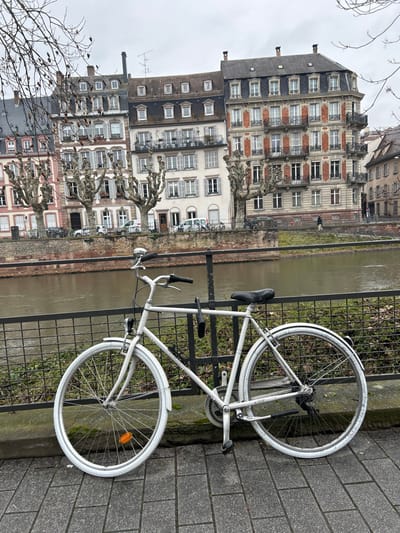 An overhead, slightly angled photograph captures an urban riverside scene in Strasbourg, France, under an overcast sky. In the immediate foreground, a white-painted men's bicycle with white tires, white fenders, a front light, and a silver bell is secured by a black U-lock to a black metal fence. An orange reflector is visible on the front wheel spokes. The bicycle rests on a gray paver sidewalk composed of rectangular blocks.

Beyond the fence, a narrow strip of dark green vegetation precedes a calm, muddy-brown river flowing from right to left. On the opposite bank, a stone or brick retaining wall supports a paved road. This road is lined by several parked white vehicles and one darker vehicle. A row of large, deciduous trees with heavily pruned, gnarled branches (pollarded) stands between the road and a series of multi-story European-style buildings. One individual, dressed in dark attire, is visible walking leftwards on the far bank's sidewalk.

The background features a continuous facade of four to five-story buildings, characterized by numerous windows, some with light-colored shutters, and ornate balconies with black iron railings. The architectural styles vary, including a light pinkish building on the far left, a white building with darker accents, a cream-colored building, and a prominent building with red brick decorative elements and extensive balconies. All buildings are topped with dark pitched mansard roofs featuring dormer windows. Bare tree branches from an unseen foreground tree intrude into the top left and right corners of the frame.