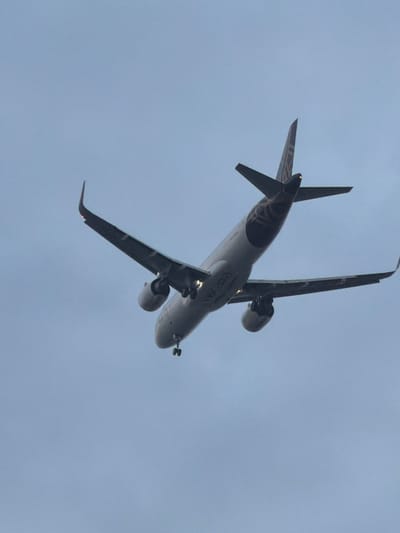 An underside view of a white passenger airplane is captured in flight against a pale, overcast sky. The airplane is angled slightly upwards, with its nose pointing towards the left of the frame. The tail fin, emblazoned with a dark, patterned logo, is clearly visible, as are both wings. The left wing extends further into the frame than the right. The engines are mounted beneath the wings, and the landing gear is deployed, with two wheels visible. The overall lighting suggests it is either dawn or dusk. The scene is entirely composed of the airplane and the sky. There is no visible connection to Delhi, India.