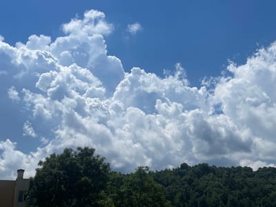 A wide-angle, eye-level shot captures a dramatic sky filled with large, fluffy white cumulus clouds against a bright blue sky. The lower portion of the image is dominated by a dense, dark green forest-covered hillside. In the far left, a portion of a building with a light beige facade and a dark chimney is visible above the trees. The scene appears to be set in the city of Berkovitsa, Bulgaria, with the rolling hills and distinct architectural elements suggesting a semi-urban or suburban environment. There are no people or animals present in the image. The lighting suggests a sunny day, with the clouds casting subtle shadows.