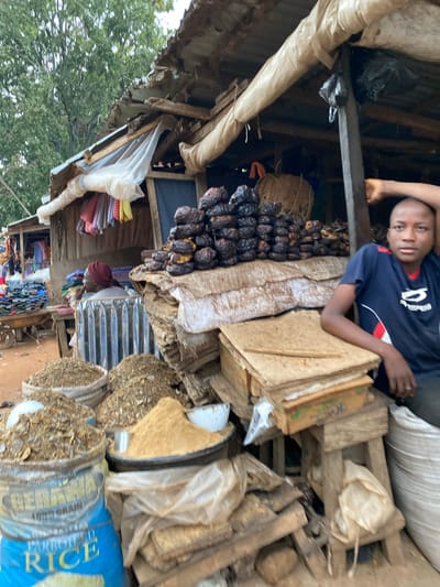 In the city of Bukuru, Nigeria, a young boy wearing a dark blue t-shirt with red and white trim stands at a market stall. He is positioned behind a stack of wooden boxes, with his right arm resting on a crate. The market is outdoors, under a makeshift roof constructed from corrugated metal and plastic sheeting. To the left of the boy, a woman wearing a red headscarf is partially visible, seated behind a corrugated metal barrier. The stall is filled with various goods, including sacks of dried food products, stacks of dried fish or meat, and a large blue sack labeled "PARBOILED RICE" in yellow lettering. In the background, a cart is laden with colorful textiles, and trees are visible through gaps in the stall's structure. The overall impression is one of a busy, bustling marketplace.