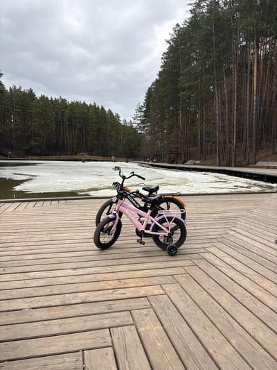 Two bicycles are stacked on a wooden boardwalk, positioned near a body of water partially covered with ice. The background reveals a dense forest under an overcast sky. This image was taken in Neftekamsk, Russia.