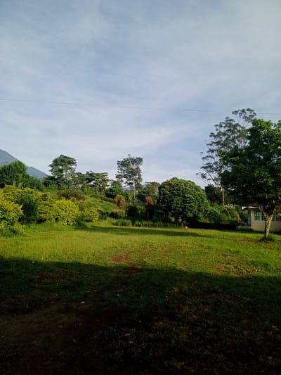 The image depicts a grassy lawn with trees, shrubs, and a small building in a rural setting. A mountain is visible in the distance under a partly cloudy sky. A single electrical line is strung across the sky. The image does not suggest it is in a city nor can the location in Thalang, Laos, be confirmed.