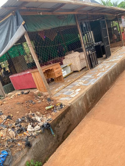 The image depicts an outdoor commercial setting in Nsukka, Nigeria. A makeshift shop structure occupies the midground, fronted by a heavily littered dirt area and a concrete drainage ditch, with a reddish-brown dirt road beyond.
The shop features a roof constructed from corrugated metal sheets supported by wooden beams, with sections of dark and green tarpaulin visible beneath. Its enclosure is formed by chain-link fencing, partially covered by green tarpaulin, and a dark grey tarpaulin is rolled up on the far left. An open black metal gate serves as the entrance.
Inside the shop, a selection of furniture is visible: several light-colored, upholstered sofas with patterned fabric and gold-colored accents, a red upholstered furniture piece, a light-colored wooden desk with drawers, and a white and wood console table. A red gas cylinder stands near the right side of the entrance, and a white sign displaying "POS" is attached nearby. A light fixture hangs from the roof structure. Two individuals are partially visible in the far left background, obscured by the fencing and merchandise.
The immediate foreground on the left consists of reddish-brown earth heavily covered with refuse, including numerous black and white plastic bags, wrappers, and debris. This area abuts a concrete drainage channel with stained walls, containing some small green plant growth at its base. Adjacent to the channel is a raised concrete walkway with a light-colored, patterned tiled surface that exhibits wear and damage. To the right of the ditch and walkway is a reddish-brown dirt road. Green foliage and trees are visible in the background behind the shop structure.
