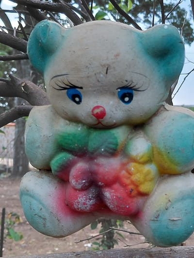 A weathered, cream-colored teddy bear statue, adorned with faded teal ears and painted with bright, chipped colors on its torso, sits perched on a thin, weathered branch. The bear's eyes are painted a vibrant blue with black lashes, and its nose is a small red dot. Its body displays patches of green, pink, and yellow, with some areas showing chipped paint and accumulated dirt, suggesting it has been exposed to the elements. The background consists of out-of-focus trees and foliage, indicative of an outdoor environment. This scene is located in Santa Ana, Venezuela.
