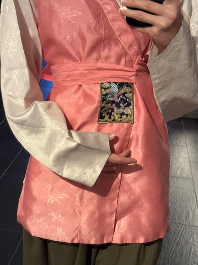 The media file shows a close-up view of someone wearing a traditional Korean hanbok, specifically a jeogori (jacket) and chima (skirt). The jeogori is a pale, textured fabric with a subtle floral pattern, and the chima is a vibrant pink, also with an embossed pattern, likely featuring floral or bird motifs. A decorative patch with an embroidered crane and intricate golden details is visible on the chima. The person's hands are visible; one is resting on the fabric, and another is placed near the embroidered patch. The setting appears to be indoors, with a tiled wall in the background and a dark floor. There is no visible text. The lighting suggests an indoor environment, possibly during the day or with artificial lighting. The image focuses on the textures and colors of the hanbok, hinting at an occasion where this traditional attire is being worn. The close-up perspective creates an intimate feel, emphasizing the details of the garment and the presence of the person wearing it.