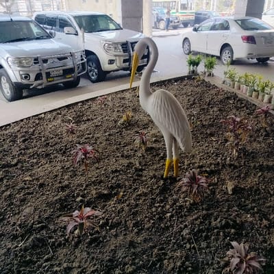 A planter bed containing dark soil and sparse vegetation sits in front of a parking area. A white heron statue with a yellow beak and legs stands in the middle of the bed. Several red-leaved plants are scattered around it. Behind the planter are parked vehicles including two white SUVs and a white sedan. Potted plants line the back edge of the planter near the sedan. A concrete structure is visible in the background.