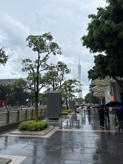 This is a medium-shot, eye-level, outdoor photograph of a street scene on a cloudy, rainy day in Tianhe District, China. The foreground is dominated by a wet, gray tiled sidewalk reflecting the overcast sky and surrounding elements. A young tree with sparse green foliage is planted in a raised square bed in the mid-left of the frame, surrounded by manicured green shrubs. To the right of the tree, a large, gray, rectangular display board is positioned.

The mid-ground shows a group of people walking along the sidewalk, each holding an umbrella. The people are diverse in age and attire, with some dressed in casual clothing and others in more formal wear. They are walking in various directions, but most are moving away from the viewer, towards the right side of the frame. The sidewalk continues into the distance, appearing slick and wet from the rain.

In the background, a tall, slender white tower, identified as the Canton Tower, is visible in the center-left of the image, piercing the cloudy sky. To the right of the tower is a modern building with a white, tent-like roof structure. More trees with dense green foliage are present along the right side of the street, casting shadows on the wet ground. The overall atmosphere is one of a typical urban day, with the rain affecting the activities of pedestrians.