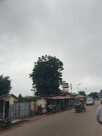 The image shows a street scene in New Stadium, Nigeria, under a cloudy sky. On the left side of the road, there is a metal gate leading to a compound with several small structures. A motorcycle is parked on the left shoulder of the road. Across the street, a large tree stands prominently, with a water tank and a tall communication tower visible behind it. Several small shops are lined up along the right side of the road, with awnings providing shade. A tuk-tuk is in motion on the road, followed by a white car. A person in a grey jacket is walking away from the camera on the right side of the road. The overall impression is of a busy, functional urban environment.