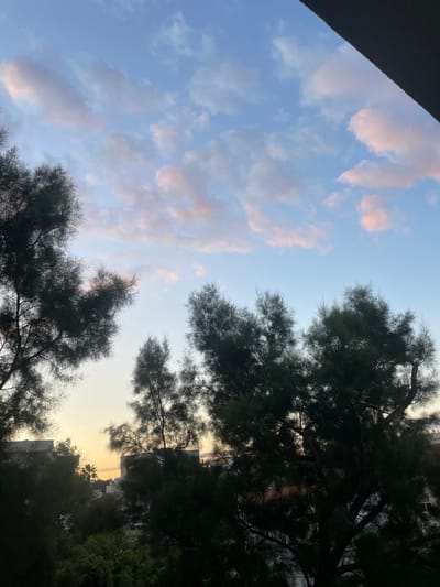The image presents an elevated urban landscape in Raanana, Israel, captured during twilight hours. The upper two-thirds of the frame is dominated by a clear sky, transitioning from a medium blue overhead to a lighter blue-yellow hue near the horizon. Scattered cumulus clouds are present, primarily in the upper half, exhibiting subtle pinkish-orange tints. The midground and foreground are heavily occupied by the dense, dark green, silhouetted foliage of numerous needle-leaved trees, with branches extending across the left, center, and right portions of the view. A slender palm tree silhouette is visible between tree masses on the far left. In the background, indistinct multi-story buildings with light-colored facades are partially visible through the tree cover, indicating a residential or commercial area. A dark, diagonal architectural element is present in the upper right corner, suggesting the photograph was taken from an enclosed structure. No individuals, specific actions, or interactions are discernible within the scene.