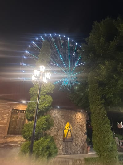 This nighttime image depicts a scene within Yerevan Park in Yerevan, Armenia. In the upper half of the frame, a large Ferris wheel is prominently displayed, illuminated with alternating white and teal-green lights along its spokes and outer rim. The sky above is dark and cloudless.

In the mid-ground and foreground, a tall, black, multi-lantern street lamp stands centrally, casting bright light flares. Surrounding the base of the lamp and extending to the left and right are manicured green shrubs and trees.

Architectural structures made of rough-hewn stone are visible behind the vegetation. On the left, part of a building wall features a rectangular window with decorative dark metal grates. On the right, another stone-faced building displays a distinctive, upward-pointing triangular window or decorative panel, illuminated internally with a warm yellow light. Further to the far right, partially obscured by foliage, a faint reddish-brown object with two rounded protrusions, possibly resembling an animal's head or logo, is visible. There are no people present in the scene, and no discernable actions or interactions are occurring.