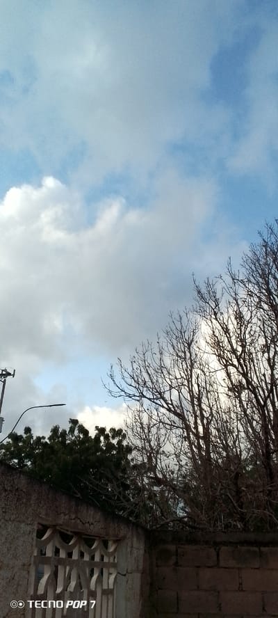 The image shows a cloudy sky with blue patches. In the foreground, a stone wall runs horizontally across the lower part of the frame. To the left, there is a white decorative metal gate built into the wall. Above the wall on the left, dark green foliage is visible, suggesting trees or bushes. A street light on a pole is also present in this area, with the light itself extending outwards. To the right, a leafless tree with intricate branches dominates the middle and upper right portions of the image. The branches are silhouetted against the sky. The scene appears to be an outdoor environment in the city of Altagracia, Venezuela, possibly a residential area or a public space. There are no people or active interactions depicted in the image.