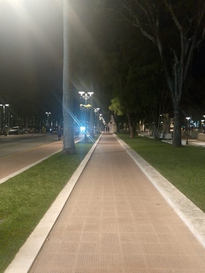 The image depicts a dimly lit street scene at night, likely in a city. A paved walkway with a grid pattern runs diagonally across the foreground. To the left of the walkway, there is a strip of green grass bordered by a concrete edge. Beyond the grass, a street is visible with cars, motorcycles, and several streetlights. A large tree trunk, illuminated by a bright light, stands prominently on the right side of the walkway, its rough bark texture visible. Further down the walkway, more streetlights with ornate designs are visible, some adorned with hanging planters. Silhouetted figures of people can be seen walking along the street and the walkway in the distance. Trees with dark foliage line the right side of the scene, their branches casting shadows. The overall atmosphere is illuminated by artificial lighting, with some areas appearing hazy or overexposed due to the light sources.