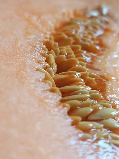 The image is a close-up, macro photograph of the interior of a cantaloupe. The focus is on the seeds, which are light brown and slightly elongated, embedded in the orange flesh of the fruit. The flesh appears moist and has a textured surface. The lighting highlights the glossy texture of the seeds and the surrounding pulp. The background is a soft blur of the cantaloupe's orange interior, with some areas appearing lighter due to reflections. No people, actions, or interactions are visible, and there is no indication of any specific location in Viadana, Italy.