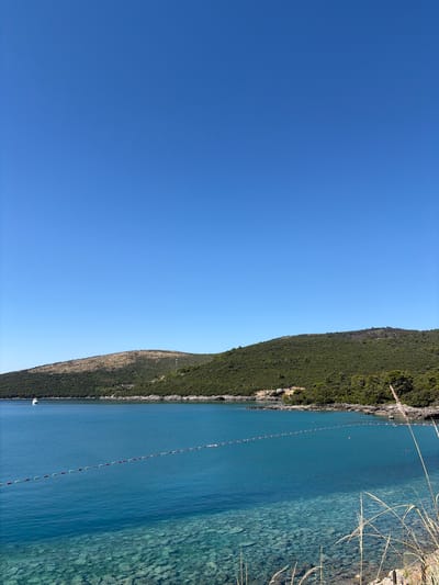 The image depicts a serene coastal scene in Radovići, Montenegro, under a clear blue sky. The foreground features shallow, crystal-clear turquoise water revealing a rocky seabed. A boundary line of red and white buoys stretches horizontally across the water, demarcating a swimming area. In the middle ground, the calm sea extends towards a verdant, hilly coastline covered in dense green foliage. A white boat is visible in the distance on the left side of the bay. The coastline is dotted with a few buildings and scattered trees. The background is dominated by the vast, unblemished blue sky. A few blades of dry grass are visible in the extreme lower right foreground, slightly obscuring the water's edge.