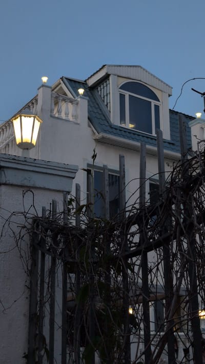 This is a low-angle, close-up shot of a section of a building, likely a house, in Gelendzhik, Russia. The building has a white stucco exterior with decorative architectural elements, including a white railing and what appear to be arched windows with a pale blue trim. The roof is covered in dark, wavy shingles, also with pale blue trim. One prominent feature is a traditional-style lantern hanging from the exterior, emitting a warm yellow light. Another smaller, similar lantern is visible further up the building. The scene is framed by a dense network of dark, leafless branches from a vine or tree, suggesting it may be winter or early spring. The sky is a muted, twilight blue, indicating the photo was taken at dusk or dawn. There are no people visible, and the focus is entirely on the building's facade and the natural elements entwining it. The overall mood is somewhat somber due to the bare branches and dim light, but the lit lanterns provide a touch of warmth and inviting ambiance. The image is oriented vertically, as if the camera was pointed upwards.