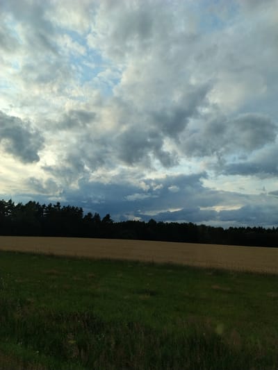 The image depicts a landscape scene with a dramatic sky filled with cumulonimbus clouds. In the foreground, there is a lush green grassy field. Beyond the grass, a field of golden crops, likely wheat or barley, stretches across the midground. A dense line of dark green trees forms the background, creating a stark silhouette against the sky. The sky itself is characterized by a mix of light and dark clouds, with patches of blue sky visible between them, suggesting an overcast or stormy weather condition. The overall impression is one of a rural setting under a dynamic sky. The location is identified as Bojenice, Czechia, though this information is not visually discernible from the image itself. There are no people or animals present in the scene.