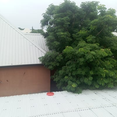 The image depicts an overhead view of a residential area, likely in Howayi, Nigeria, under an overcast sky. The scene is dominated by the white corrugated metal roof of a building in the foreground, with another building's brown wall partially visible beneath its eaves. To the right, a large, lush green tree with dense foliage extends over the roof, its branches laden with small, light-colored flowers. A small, red circular object, possibly a lid or a small dish, rests on the white roof near the center of the frame. The overall impression is one of a humid, possibly rainy, day. The sky is a uniform light gray, suggesting overcast conditions or possibly the early morning or late afternoon. There is no visible text in the image.