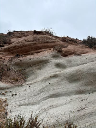 The image displays a close-up view of a sandstone cliff face, characterized by its textured surface and varied coloration. The cliff exhibits distinct vertical striations and undulating patterns, suggesting erosion over time. The left side of the cliff is a darker, reddish-brown hue, transitioning to a lighter, grayish-white color on the right. Small, sparse vegetation, appearing dry and twig-like, grows from crevices and along the top edge of the cliff. The sky above is overcast, with a pale, diffused light, indicating a cloudy or overcast day. The scene is a natural landscape, likely a geological formation. No people, objects, or text are visible in the image. The image appears to be taken from a low angle, looking up at the cliff face. The overall mood is one of natural stillness and the grandeur of geological processes. The location context provided is Lake Forest, USA, which aligns with the presence of natural, possibly arid or semi-arid, landscape features.