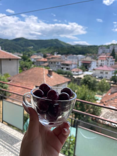 A hand holds a glass cup filled with dark red cherries against a backdrop of a town nestled in a valley. The cup is transparent, with a handle, and sits at an angle. Several cherries are visible within the cup, their surfaces glistening. The background reveals a cluster of buildings with terracotta roofs, suggesting an urban or semi-urban setting. Beyond the buildings, green hills rise, and the sky is a bright blue with scattered white clouds. The scene appears to be captured from a balcony or elevated vantage point. The general impression is one of a summer day in a picturesque location. The town depicted is Zlatograd, Bulgaria.