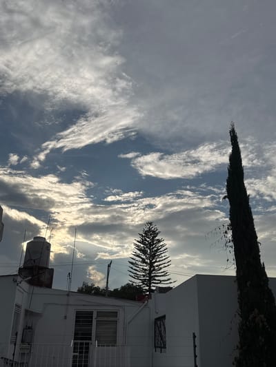 The image, oriented vertically, captures a view of a cloudy sky framed by urban elements and trees. The sky is a prominent feature, filled with a dynamic mix of bright white and light grey clouds against patches of blue. Many clouds are elongated and wispy (cirrus), while others are denser, creating a varied texture. The sun's position is suggested by luminous areas of light breaking through or behind the clouds on the right side, indicating late afternoon or early evening.
On the left side of the frame, a tall, slender, dark green coniferous tree, likely a cypress, stands erect, its silhouette contrasting with the bright sky. Towards the right, another conifer, possibly a pine, with more distinct branches, is partially visible.
Below these natural elements, parts of several white buildings are visible, suggesting an urban or suburban setting. On the right, a white building facade features two windows; one has visible horizontal blinds, and the other is covered by a decorative black metal security grate. Electrical wires and poles stretch across the middle ground. On a rooftop in the lower right, a large white water tank is positioned, accompanied by various antenna-like structures. A white rectangular sign on the building, below a window, displays black text that reads: "PELIGRO ALMACENAJE SOLO PERSONAL AUTORIZADO" (DANGER STORAGE AUTHORIZED PERSONNEL ONLY). This Spanish text aligns with the provided location context of Puebla, Mexico. The scene conveys a calm, everyday moment as the day transitions towards evening.