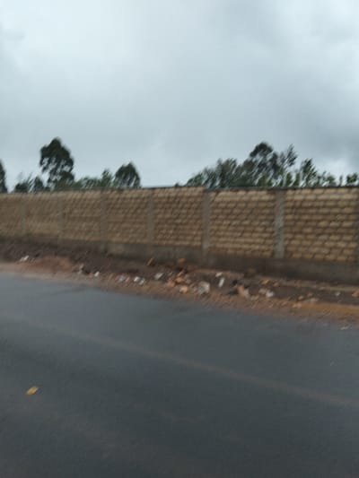 The scene, located in Nyansiongo ward, Kenya, depicts an outdoor environment under an overcast, grey sky. The foreground features a dark grey asphalt road, displaying a faint yellow lane line slightly right of center and a single yellow leaf in the lower-left. Adjacent to the road, a reddish-brown dirt shoulder contains scattered debris, including small stones and various pieces of refuse. Beyond the shoulder, a light brown perimeter wall constructed from textured bricks or blocks, interspersed with vertical concrete supports, extends horizontally across the mid-ground. Above the wall, multiple dark green trees are visible against the cloudy sky. No individuals, actions, or specific interactions are depicted.