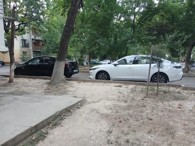 The image depicts an outdoor scene, likely in a residential area of Tashkent, Uzbekistan, given the architectural style of the building and the presence of parked cars. Two sedans are visible: a black sedan on the left and a white sedan on the right, both parked parallel to a sidewalk and a dirt-and-grass embankment. The black car appears to be a Kia. The white car is a modern sedan, possibly a BYD.
The environment is characterized by mature trees providing shade, with their trunks partially visible in the foreground and canopy overhead. The ground cover consists of dry earth, scattered leaves, and sparse green vegetation. A concrete structure, possibly a curb or a planter edge, runs along the bottom left of the frame. A building with multiple windows, balconies, and visible air conditioning units is located in the background, behind the black car and trees, suggesting an apartment complex. The overall atmosphere is that of a typical urban setting in a temperate climate during daylight hours. No people are present in the image.