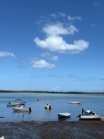 Boats are lined up at the shore. One person is seen standing by a boat. A line of trees stands behind the water. Above, the sky is blue with some white clouds. A black bird flies in the middle of the sky.