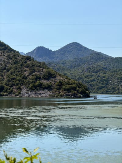 The image depicts a serene natural landscape under a clear blue sky. In the foreground, a calm body of water reflects the surrounding environment. The water's surface is partially covered with patches of green algae or vegetation, creating a textured appearance. In the mid-ground, a lush, tree-covered hillside rises steeply from the water's edge. This hillside is characterized by its dense foliage and rocky outcrops. Further in the background, several mountains dominate the horizon. These mountains are also covered in thick vegetation, with some rocky peaks visible. A narrow, dark line, possibly a power line, stretches across the sky horizontally. The overall scene conveys a sense of tranquility and natural beauty, with the vibrant green of the foliage contrasting against the blue sky and water.
While the location is stated to be Kruševica, Montenegro, the image itself does not contain any specific landmarks or identifying features that would confirm this precise location. It's a general natural landscape.