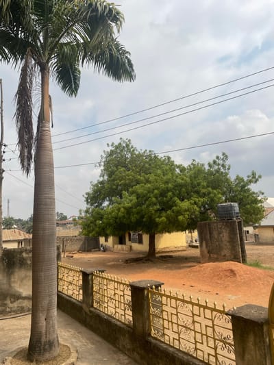 This image depicts a static outdoor scene within a residential area of Akwanga, Nigeria, under a partly cloudy sky. The foreground on the left is dominated by a tall palm tree with a thick, ringed trunk and green fronds, some dry and hanging. A segment of a utility pole with electrical wiring is visible directly behind the palm tree. Along the bottom, running from the left to the lower right, is a low concrete wall topped with a gold-colored metal fence featuring repetitive geometric patterns of squares and circles. A narrow paved strip runs alongside the interior of this fence on the left.
The midground features a large, mature tree with dense green foliage, its exposed roots visible at the base on the reddish-brown earth. Behind this tree is a single-story yellow building with dark-colored windows and an entrance. To the right of the yellow building, a concrete water tank stand supports a black cylindrical plastic water tank. A mound of reddish-brown earth is present on the ground to the right of the water tank stand.
In the background, multiple utility lines traverse horizontally across the upper middle of the frame. Various other residential structures with light-colored walls and dark or reddish-brown roofs are visible. On the far left, a distant telecommunications mast is discernible against the sky. No individuals, animals, or explicit actions are present within the frame.