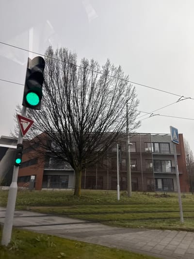 The image depicts an urban street environment within Strasbourg, France, under an overcast sky. In the foreground on the left, a light grey pole supports a black traffic light displaying a green signal at both its upper and lower positions, indicating passage. Below the upper traffic light, a red triangular "Yield" sign (cédez le passage) is affixed to the pole.

In the midground, a large, leafless deciduous tree with a dense, dark network of bare branches stands centrally, partially obscuring the building behind it. The ground around the tree and extending horizontally across the lower frame is covered in green grass, interspersed with visible tram tracks. A light grey street light pole is visible behind the tree towards the right.

In the background, a modern, multi-story building (at least three floors visible) extends across the frame. Its right section features a facade clad with brown horizontal slats and includes multiple grey concrete balconies with metal railings. The left visible portion of the building presents an orangish-brown facade, possibly brick or paneling. A blue square sign with a white triangle and a black walking person, indicating a pedestrian crossing, is positioned on the far right. Overhead wires for the tram system are visible against the uniformly grey sky. No people are present in the scene.
