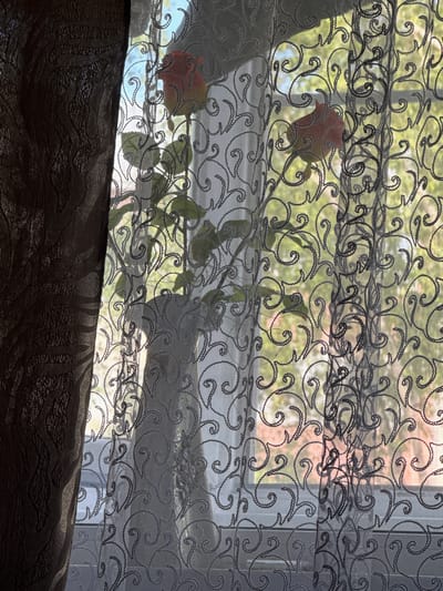 The image shows a window with two layers of curtains. The left curtain is a thick, dark brown fabric with a textured pattern. The right curtain is a sheer, white lace with a swirling, dark grey pattern. Through the sheer curtain, two roses, one orange-red and one lighter orange, are visible in a vase, along with green leaves and stems. The background outside the window is blurred and appears to be green foliage illuminated by sunlight, suggesting an outdoor environment. The scene is indoors, likely in a residential setting in Морозовка, Russia, given the context provided, and the lighting suggests it is daytime. There are no people visible in the image.