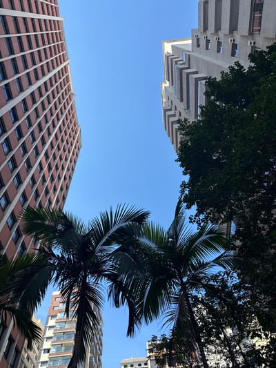 This image presents an upward-angled view of a dense urban environment in São Paulo, Brazil, characterized by tall residential buildings and prominent tropical vegetation under a clear blue sky.

The scene is dominated by two distinct high-rise buildings framing a central expanse of sky. On the left, a tall, rectangular building features a repetitive grid facade of red/brown brick sections interspersed with narrow, light-colored vertical and horizontal concrete bands, defining numerous small rectangular windows. On the right, a tall, light-colored concrete building exhibits a complex, multi-layered facade with strong geometric projections, including thick horizontal and vertical fins that create deep recesses for windows and balconies; several external air conditioning units are visible on its upper levels. The top section of this building has a stepped profile.

In the foreground and mid-ground, two large palm trees are prominently featured, their dark green fronds fanning out and silhouetted against the bright sky. To the right, a dense mass of dark green broadleaf foliage from another tree partially obscures the concrete building. The sky is uniformly clear and bright blue, indicating sunny weather. The architectural styles, combining modern concrete brutalism with more traditional brick high-rises, along with the presence of mature palm trees, are highly characteristic of established, upscale residential neighborhoods in São Paulo's central-south zone, such as **Jardins** or **Higienópolis**. No people or discernible actions are visible in the frame.
