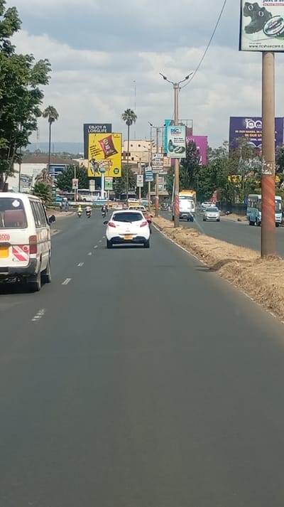 A bustling city street features diverse billboards advertising snacks ("Enjoy A Longlife"), shoe care (Ric Shoecare.com), and a centennial celebration. Vehicles, including a white van with the letters "GGO" and a white car, navigate the multi-lane road. Palm trees dot the skyline, and a utility pole with a streetlight stands to the right. In the background, buildings rise against a cloudy sky.