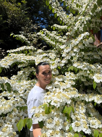 A woman in a white t-shirt is smiling and partially obscured by a large bush of white flowers. The image appears to be taken outdoors in Shua Makhinjauri, Georgia. There are trees in the background and the day appears to be sunny.