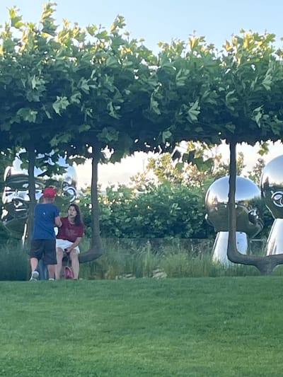 In a verdant outdoor setting, two individuals are casually seated on the grass, partially obscured by large, leafy trees. The man wears a blue polo shirt and dark shorts, with a red baseball cap. The woman is dressed in a maroon t-shirt and white shorts. They appear to be engaged in a relaxed conversation or simply enjoying each other's company.

Behind them, a peculiar, large, reflective sculpture is visible, its smooth, metallic surface mirroring the surrounding environment. The sculpture is abstract, with rounded forms and a polished finish. It seems to be a prominent feature in the landscape.

The scene suggests a pleasant day, likely in the late afternoon or early evening, given the soft lighting and the presence of shadows. The sky appears clear, indicating fair weather. The abundance of green grass and mature trees points to a park or a spacious garden. The location context suggests this scene is in Krasnodar, Russia. There is no visible text in the image.
