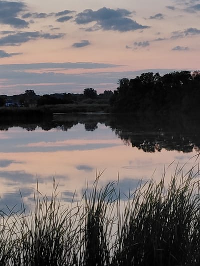 A serene sunset scene unfolds over a tranquil body of water, likely a lake or river, situated in the vicinity of Ustyvytsia, Ukraine. The sky is painted with soft hues of pink, peach, and pale blue, interspersed with scattered clouds. The reflection of the sky and the dark silhouette of trees lining the opposite bank are mirrored perfectly on the water's surface. In the foreground, tall, dark grass sways gently, creating a natural frame for the reflective water and the distant landscape. A hint of a structure, possibly a house, is visible on the far left bank, blending into the darker tree line. The overall atmosphere is peaceful and still, characteristic of a quiet evening in a rural Ukrainian setting.