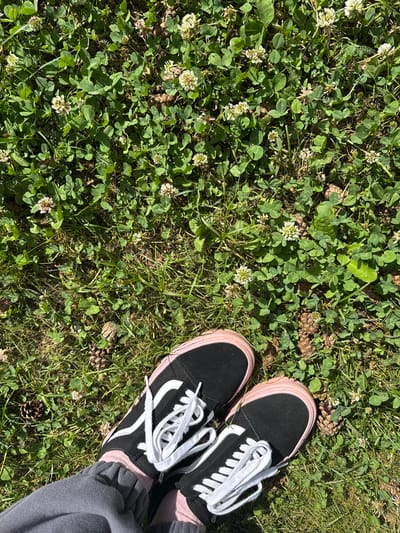 The image shows a pair of black Vans sneakers with pink soles and white laces, worn by an individual whose grey sweatpants and pink socks are visible. The shoes are positioned on a patch of green grass with white clover flowers and several pinecones scattered around. The scene appears to be outdoors, likely in a park or natural area. The lighting suggests it is daytime, with sunlight casting shadows on the ground. The location is identified as the city of Yunost', Russia.