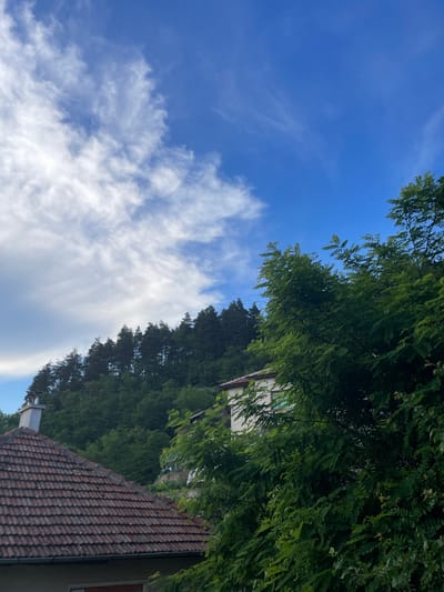 The image captures a view of a residential area in Zlatograd, Bulgaria, with a focus on a house nestled amidst lush greenery and a forested hillside under a bright blue sky with scattered white clouds. In the foreground, the terracotta tiled roof of a house is visible, complete with a chimney. To the right, dense green foliage from trees partially obscures a light-colored house with windows. The background features a steep, densely wooded slope with tall evergreen trees forming a dark green canopy. The overall impression is one of a tranquil, semi-rural setting bathed in daylight.