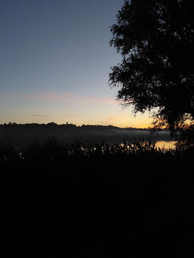 The image depicts a serene dawn scene over a body of water, likely the Uzh River, near Ustyvytsia, Ukraine. Silhouetted reeds and tall grasses frame the foreground, creating a dark, textured barrier. Beyond this, a gentle slope of land is visible, its trees and undulating contours softened by a light mist rising from the water. The Uzh River itself is a calm expanse reflecting the soft, warm hues of the rising sun, which is just peeking over the horizon, casting a golden glow on the water and a faint pink blush on the clouds above. The sky transitions from a deep blue at the top to pale yellow and orange near the horizon. A single, small structure, possibly a steeple, is faintly visible on the distant ridgeline, adding a touch of human presence to the natural landscape. The overall atmosphere is one of tranquility and the quiet beauty of the early morning.