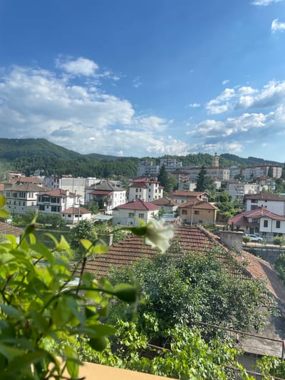 This image captures an elevated, wide-angle view of the city of Zlatograd, Bulgaria. The foreground is dominated by vibrant green foliage from plants and trees, with a light-colored flower visible in the upper center of the frame, slightly out of focus. Beyond the greenery, a dense urban landscape unfolds, characterized by a mix of traditional and modern architecture.
The buildings exhibit a variety of roof styles, predominantly red tile, and a range of colors, from white and cream to yellow and beige. Many of the older structures appear to have white exteriors with dark-trimmed windows and balconies. In the middle ground, a prominent clock tower rises above the surrounding buildings, serving as a landmark. Further into the background, a range of imposing, modern apartment buildings are visible, nestled against a backdrop of lush, green, tree-covered hills that recede into the distance. The sky above is a brilliant blue, punctuated by scattered, fluffy white clouds, suggesting a clear and pleasant day. A white car is partially visible on a street in the lower right portion of the image. There are no people or discernible actions taking place in the scene.
