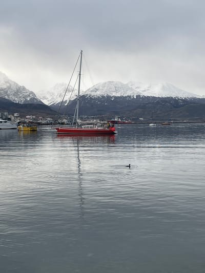 This is a vertical, eye-level shot of a harbor in Ushuaia, Argentina. In the foreground, calm, gray water with ripples reflects the overcast sky. A single black bird is swimming in the middle right of the frame. In the middle ground, a red sailboat is docked in the harbor, its mast tall against the sky. To the left of the sailboat, a small yellow boat is visible. In the background, the city of Ushuaia is nestled at the foot of snow-capped mountains. The mountains rise majestically into the cloudy sky. Other boats, including a white sailboat and various industrial vessels, are scattered across the harbor. The overall atmosphere is serene and slightly melancholic due to the overcast weather.