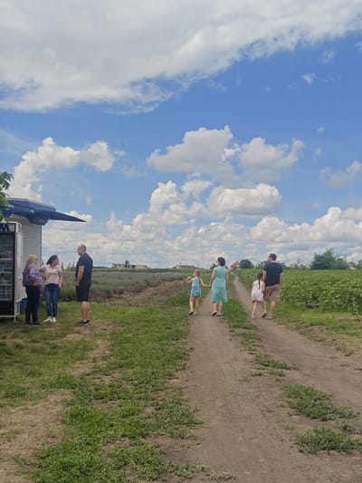 In Colonița, Moldova, on a sunny day with scattered clouds, a group of people are engaged in outdoor activities near agricultural fields. To the left, three individuals stand near a small, light-colored kiosk with a blue awning, possibly a vendor stand. One person, a man in a black t-shirt and shorts, stands with his hands behind his back. Two women stand to his left, one in a light purple top and dark pants, the other in a pink polo shirt and jeans. In the background, a field of lavender stretches across the landscape, transitioning into a field of lush green plants, likely sunflowers, to the right. A dirt path winds through the scene. Further down the path, a family of four walks away from the camera: a woman in a teal dress and a man in a dark t-shirt and khaki shorts, accompanied by two young girls, one in a blue patterned dress and the other in a white floral dress. The environment suggests a rural or semi-rural setting.