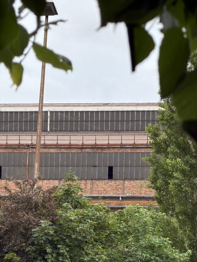An exterior shot depicts an aged industrial building, partially obscured by lush green and reddish-brown foliage from trees and bushes. The building itself is constructed with reddish-brown brickwork and features numerous dark, rectangular windows arranged in long, horizontal bands across its facade. Some window panes appear to be broken or missing, revealing dark interior spaces. Vertical structural elements, possibly made of concrete or rusted metal, segment the building's exterior.
A prominent metal bar or pipe extends horizontally across the foreground, adding to the industrial theme. The sky above is overcast and light grey, indicating a cloudy daytime. Dense foliage frames the top, bottom, and right sides of the image, with some leaves in the immediate foreground appearing blurred due to their proximity to the camera. No individuals or specific activities are visible, presenting a static scene. The architecture suggests a site with an industrial past, fitting the context of Esch-sur-Alzette. No visible text is present in the image.
