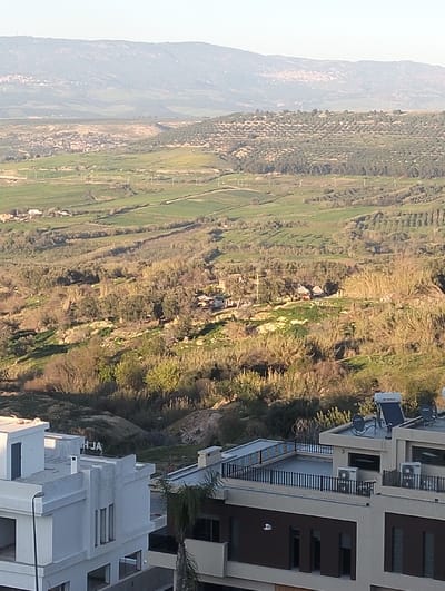This image captures a wide, sunlit landscape view from an elevated perspective, likely from a building or hilltop, looking out over a valley and distant mountains.
In the foreground, the rooftops and upper sections of two modern buildings are visible. To the left, a white building with flat roofs and minimalist architecture, possibly residential, shows part of its facade and windows. On its roof, faint black text "HJA" is visible. To the right, a larger, multi-story building with a brown and beige facade is seen. Its flat roof features a rectangular area enclosed by a black metal railing, possibly a terrace or communal space. On this roof, there are several air conditioning units, two satellite dishes, and two solar water heaters (with "BOSCH" faintly visible on one). A tall palm tree is partially visible, extending upwards from near the right building.
The midground is dominated by a lush, green valley with rolling hills. Numerous cultivated fields, varying in shade of green, are spread across the valley floor and slopes, separated by darker lines of vegetation or paths. Some areas appear more wild, with dense thickets of brush and trees. There are patches of what look like olive groves on the hillsides, characterized by their distinct, regular planting patterns. A few scattered, small buildings or clusters of houses with light-colored roofs can be seen nestled within the greenery in the middle distance.
In the far background, a series of higher, hazier mountains or hills rise, their slopes appearing softer and more subdued in color, indicating distance. Small settlements or towns are visible as faint clusters of buildings on the distant hillsides, particularly towards the left and center.
The lighting suggests it is either morning or late afternoon, with the sun casting long shadows and highlighting certain areas of the landscape with a warm glow. The sky is clear and bright blue, though not fully visible, indicating good weather. The overall impression is one of a serene, rural or semi-rural landscape, possibly in a Mediterranean or Middle Eastern region, with modern development in the immediate vicinity.