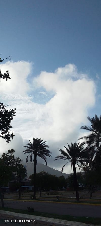 The image depicts an outdoor scene under a cloudy sky. Silhouetted palm trees are prominent in the foreground and mid-ground, with one particularly large palm tree in the center. In the background, a mountain range is visible, partially obscured by clouds and trees. The lower portion of the image shows a paved area with some vegetation and what appears to be a road or parking lot. The lighting suggests it is either early morning or late afternoon. The overall mood is serene and natural. A watermark in the bottom left corner reads "TECNO POP 7". The location is identified as Pedro González, Venezuela. There are no people or specific activities visible.