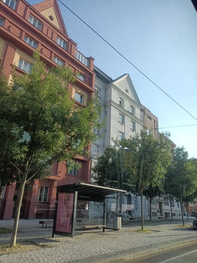This media file captures a street scene in Prague, Czechia, likely during a bright, sunny day. The foreground features a cobblestone sidewalk and a bus stop shelter. The shelter has glass panels and benches, and a large advertisement is displayed inside. The advertisement features a woman with short, blonde hair and text that appears to be in Czech.
Behind the bus stop, a row of buildings is visible. The building closest to the viewer is a multi-story structure with a reddish-brown facade, featuring numerous windows. Adjacent to it is a lighter-colored building with a more classical architectural style, also with many windows. Further down the street, other buildings continue the urban landscape.
Several trees with lush green foliage are scattered throughout the scene, providing shade and softening the urban environment. The sky is a clear, bright blue, with a few power lines stretching across the upper portion of the image, suggesting the presence of public transportation or utility infrastructure.
The overall atmosphere is one of a typical day in a European city, with a mix of residential or commercial buildings, public amenities like the bus stop, and natural elements like the trees. There are no visible people actively engaged in activities within the frame, but the presence of benches and the bus stop imply people use this space regularly.