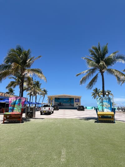 This media file depicts a sunny outdoor scene, likely in Hollywood, Florida, given the text visible on a structure. The image is oriented vertically, with the sky occupying the left half and the ground the right.

The subjects include several palm trees with lush green fronds, their trunks stretching towards the bright blue sky. In the background, there are various structures with colorful murals and signage, suggesting a lively boardwalk or entertainment area. One building has "HOLLYWOOD BEACH THEATRE" written on it. There are also a couple of white SUVs parked near the buildings, and some outdoor seating areas with umbrellas. The ground appears to be a mix of patterned pavement and a green, artificial turf-like surface.

The activity appears to be a typical day in a tourist-oriented location, with no specific event clearly taking place. The bright sunshine and clear blue sky indicate good weather, likely during the daytime. The overall impression is one of a cheerful and relaxed atmosphere.

A notable detail is the hashtag "#MHBRHollywoodFL" visible on a yellow bench. The presence of palm trees and the beach theatre signage strongly suggest a coastal setting in Hollywood, Florida.
