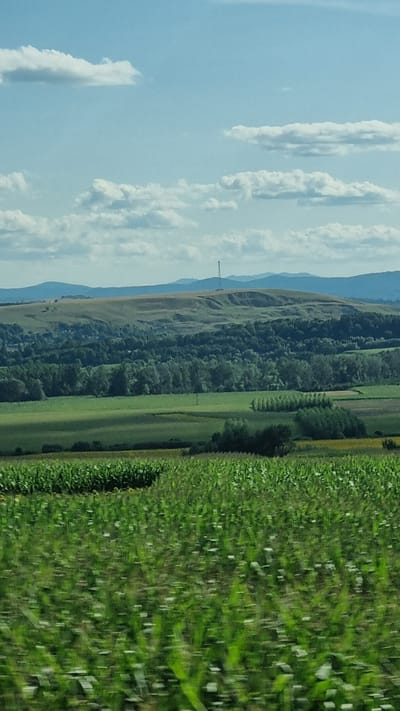 The image depicts a rural landscape under a partially cloudy sky. In the foreground, a blurry field of green crops, possibly corn, suggests motion. Behind this, a sunlit field of yellow flowers, likely sunflowers, stretches across the mid-ground. Further back, a rolling green hill is dotted with trees and some scattered buildings, indicating a small settlement. A tall, slender transmission tower stands on the crest of the hill, silhouetted against the horizon. The background features layered, hazy blue hills. The scene is located in the vicinity of Mărițeia Mică, Romania.