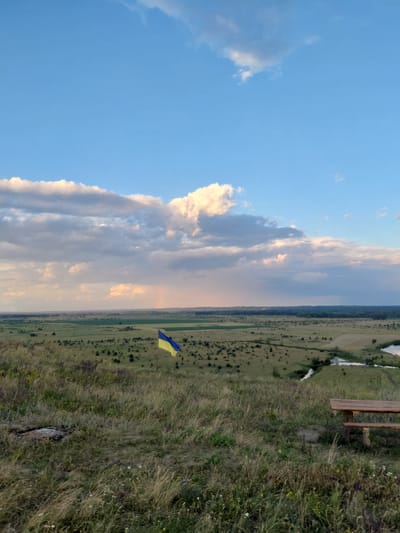 The image depicts a landscape scene in Ustyvytsia, Ukraine, during what appears to be late afternoon or early evening. The sky is a vibrant blue, with scattered clouds tinged with pink and orange hues from the setting sun. A vast, open field stretches towards the horizon, with a line of trees forming a backdrop. In the middle of the field, a Ukrainian flag is visible, its blue and yellow colors standing out against the green and brown tones of the landscape. The flag is positioned on a pole, appearing to be planted in the ground.
The foreground of the image is dominated by tall, dry grass and some wildflowers, suggesting a rural or natural setting. A wooden bench is partially visible on the right side of the frame, indicating a place for rest or observation. The overall mood of the image is serene and peaceful, with the natural beauty of the landscape and the presence of the national flag conveying a sense of quiet resilience. There are no people visible in the image, and no text is present.