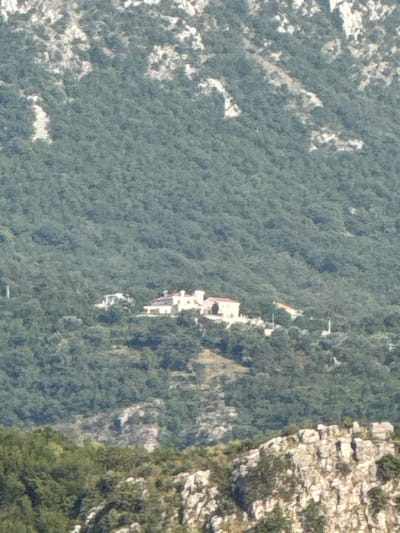The image captures an aerial view of a dense, green forest covering a steep mountainside. The foliage is thick and appears healthy, suggesting a natural, undeveloped area. Scattered within the trees, a small cluster of white buildings is visible, indicating a settlement or isolated structures nestled into the landscape. These buildings have a somewhat modern architectural style with visible roofs and walls.

To the right of the image, a prominent rock face or cliff juts out, its weathered texture and rough surfaces contrasting with the soft green of the forest. This geological feature suggests a dramatic and rugged terrain. The overall impression is of a remote and somewhat wild location.

The lighting suggests it is daytime, likely with the sun illuminating the scene from a high angle. There are no indications of specific weather conditions, but the vibrant greenery implies adequate rainfall. No people are discernible in the image. The scene appears peaceful and undisturbed.

The location context provided, Boreti, Montenegro, places this scene within a mountainous coastal region known for its natural beauty. The combination of dense forests, steep inclines, and rocky outcrops is consistent with the geography of the area. No text is visible in the image.